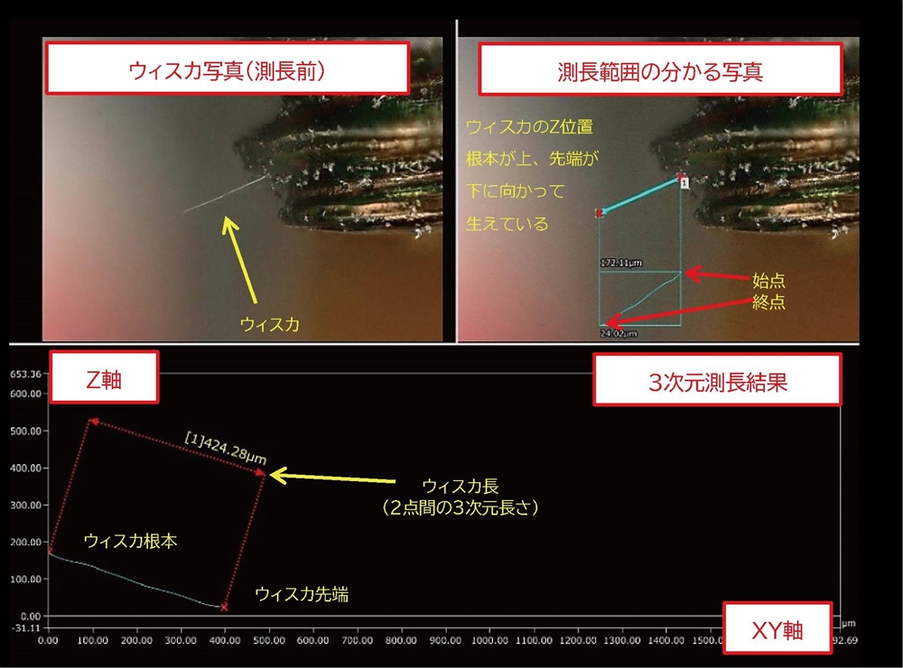 信頼性試験から観察、3次元測長までご支援します