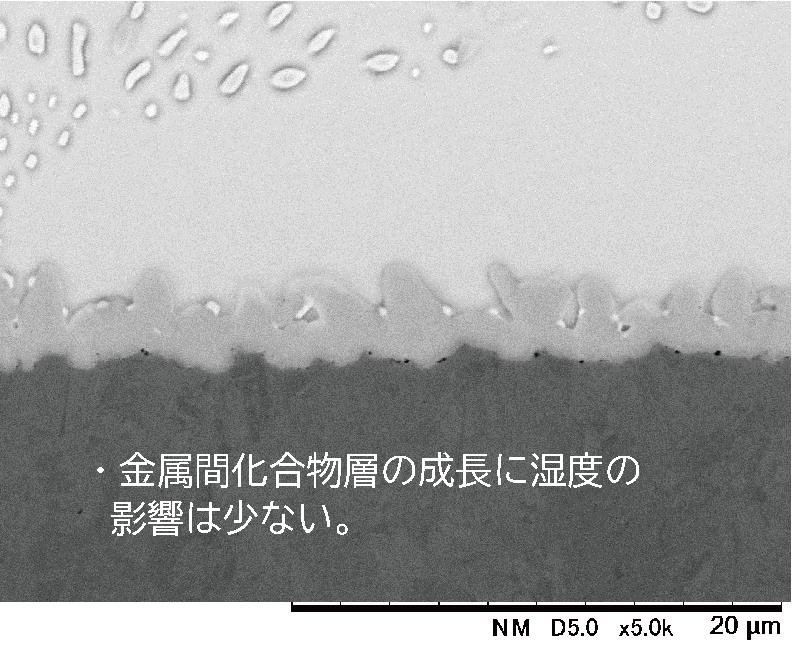 TH試験1000cyc